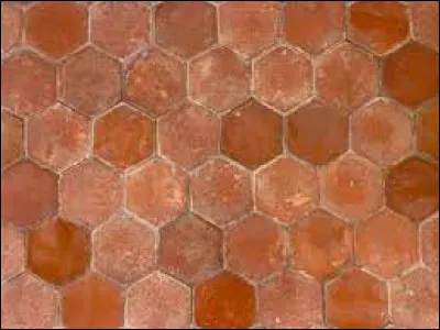 Quel est le nom de ce type de carreaux en terre cuite ?