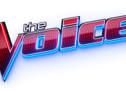 Quiz Les gagnants de ''The Voice'' (France)