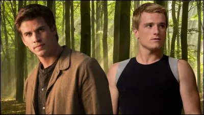 Avec qui préférerais-tu que Katniss finisse ?