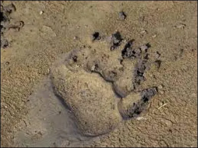 Quelle lettre faut-il enlever pour obtenir un groupe humain ?