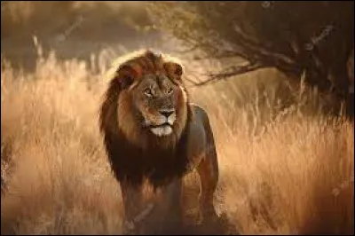 Quelle lettre faut-il ajouter pour obtenir des particules de terre déposées sur les rives d'un fleuve ?