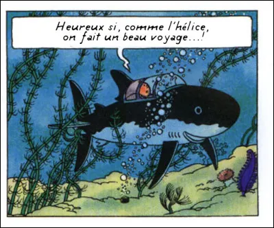 Brassens - qui ne fit jamais d'autres études que par lui-même - révérait plus que tous autres les poètes : Il reprend ici le 1er vers d'un poème de Du Bellay. Lequel ?
