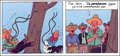 Là, pour le coup, on pourrait dire que Tintin a vraiment plus d'une corde à son art... et une veine de pendu ! Et l'on entend (presque !) le refrain de ce titre assez cru* de Brassens : lequel ?