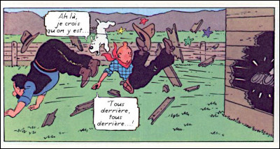 Il faut bien le dire : Tintin, l'équitation, ça n'a jamais été son Fort*... [À chaque fois, il vous suffira de retrouver le titre exact de la chanson évoquée par l'illustration !].