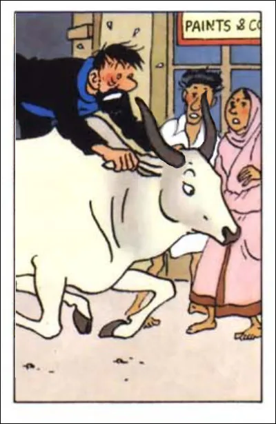 On ne pourra nier, image à l'appui, les accointances entre Brassens et le capitaine... Vous ne trouvez-pas ?