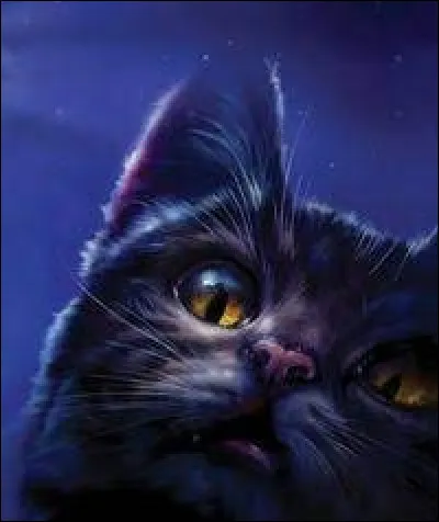 Quel est le nom d'apprenti d'Étoile de Ronce ?