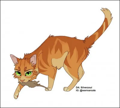 Combien de ses (vrais) chatons sont devenus guerriers ?