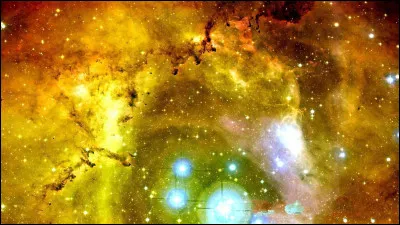 Qui est le réalisateur du film "La Guerre du feu" ?