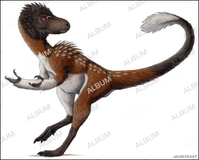 Quel est ce dinosaure ?