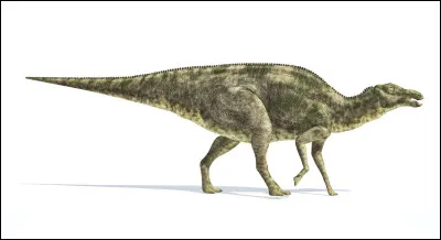 Quel est ce dinosaure ?