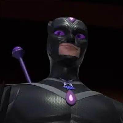 Sur cette image, quel est l'amalgame ?