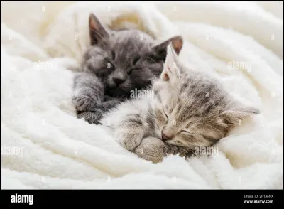 Qui sont ses frères et sœurs ?