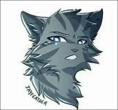 Comment est-il devenu aveugle ?