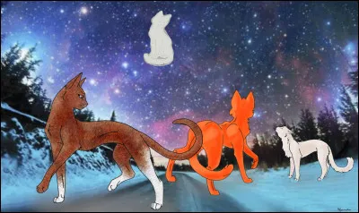 De qui est-il la réincarnation ?