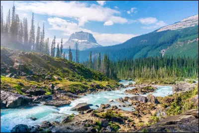 On y trouve tous les goûts !