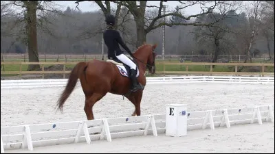 Que fait-elle sur l'image ?