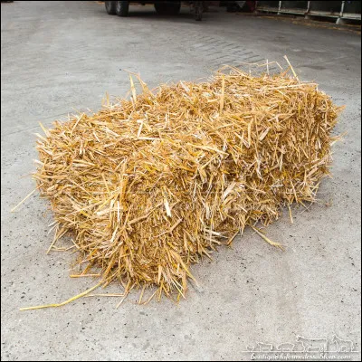 Qu'est-ce que c'est ?