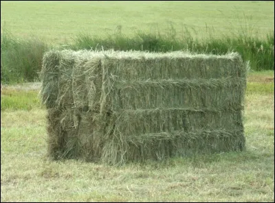 Qu'est-ce que c'est ?