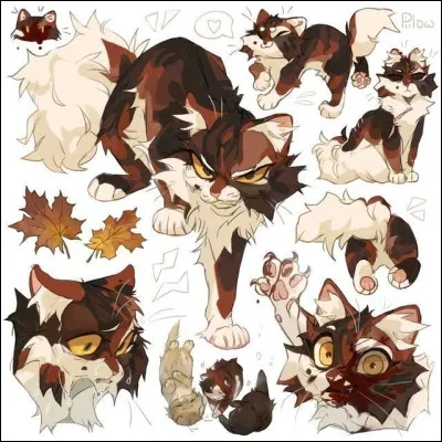 Ombre d'Érable ne courait pas vers les dangers et les risques.