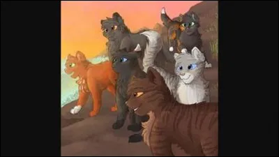 Poil d' Écureuil est l'une des quatre à être parties à la recherche de Minuit.