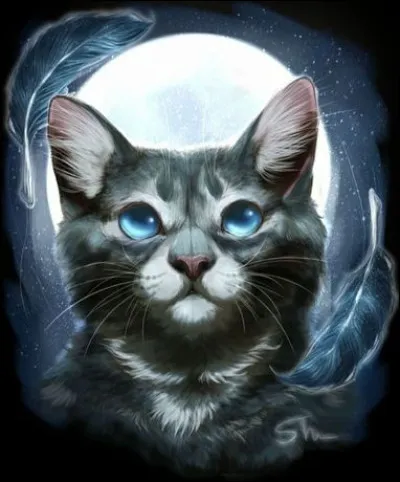 il de Geai a le pouvoir de voir l'avenir.