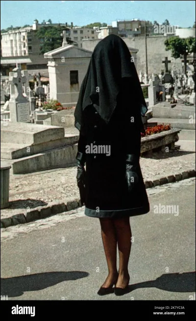 À quel écrivain doit-on le roman "La mariée était en noir" ?