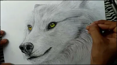 Ce dessin est-il bien fait ?