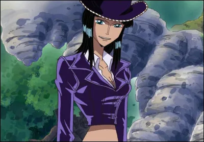 Quelle est l'activité de Nico Robin dans l'équipage du Chapeau de Paille ?