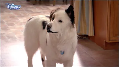 Qui interprète le rôle de "Stan" ?