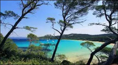 Dans cette ville, vous pourriez vous rendre sur l'île de Porquerolles ou bien sur la presqu'île de Giens.
