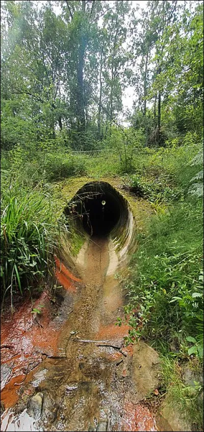 Triple...sot, c'est la...