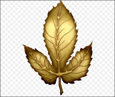 Quelle est la couleur de cette feuille ?