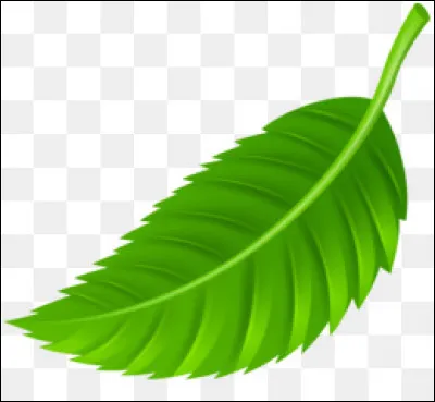 Quelle est la couleur de cette feuille ?