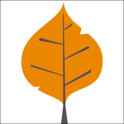 Quelle est la couleur de cette feuille ?