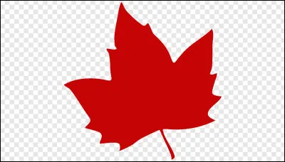 Quelle est la couleur de cette feuille ?