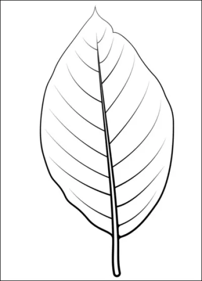 Quelle est la couleur de cette feuille ?