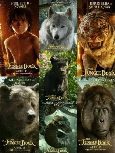 Ton animal préféré est le/la :