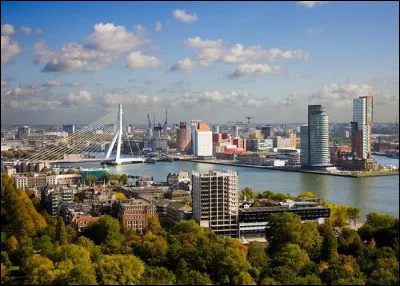 Dans quel pays se trouve Rotterdam ?