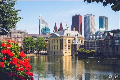 Dans quel pays se trouve La Haye ?