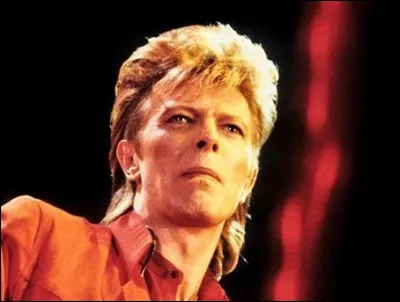 Qui est ce chanteur qui joue le rôle de ''Jareth, roi des gobelins'' dans le film ''Labyrinthe", réalisé par Jim Henson en 1986 ?