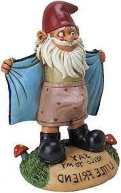 Comment est appelé un collectionneur de nains de jardins ?