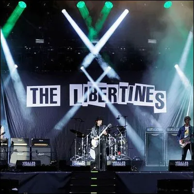 Quel chanteur a été le leader du groupe The Libertines ?