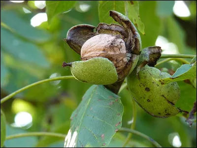 À 24 ans de mariage, on fête les noces...