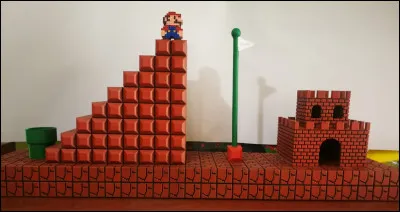 De quelle couleur est le costume de "Luigi" dans "Mario" ?