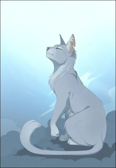 J'ai rejoint le clan du Tonnerre directement en tant qu'ancien. Qui suis-je ?