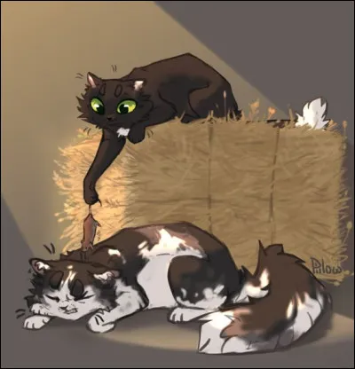 J'ai quitté un clan et ma sœur est devenue une chatte domestique. Je suis...