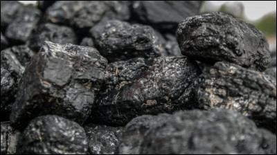 Le charbon est de quelle origine ?