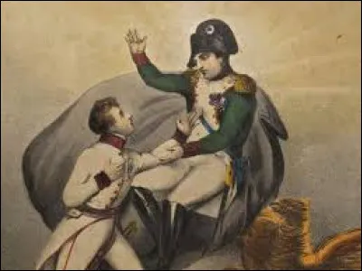 Peu avant sa mort, l'Aiglon déclara amèrement : « Ma naissance et ma mort, voilà toute mon histoire. Entre mon berceau et ma tombe, il y a ... »