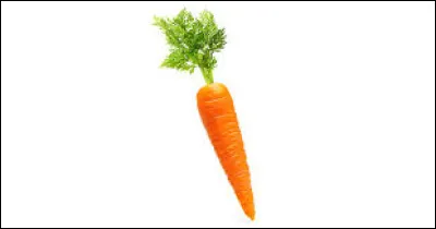 Quelle lettre faut-il enlever pour obtenir une déjection ?