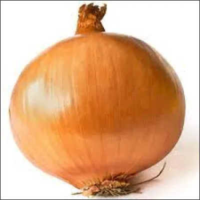 Quelle lettre faut-il ajouter pour obtenir l'extrémité d'un membre amputé ?